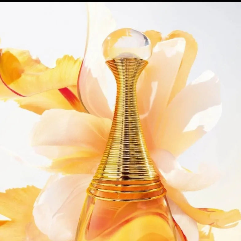 Dior J'adore EDP Perfume for Women 100ml - Buy online on GottaGo.in