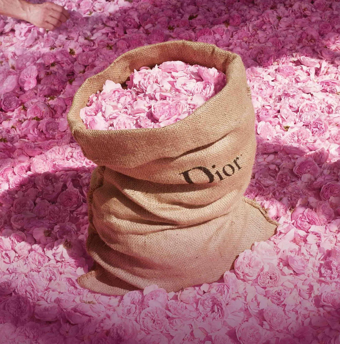 Miss Dior Absolutely Blooming Eau De Parfum by Christian Dior for Women 100 ml - GottaGo.in