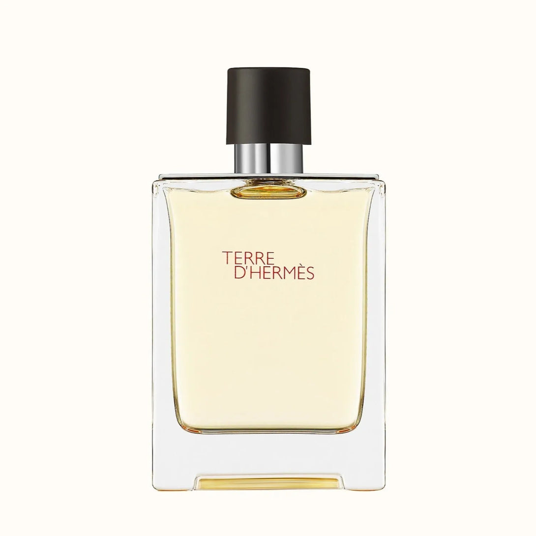 Terre D'Hermes EDT Perfume for Men 100ml - GottaGo.in